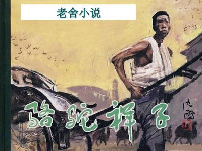 雏鸟me官网